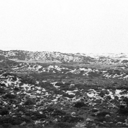 Looking across Younghusband Peninsula to Nine Mile Point