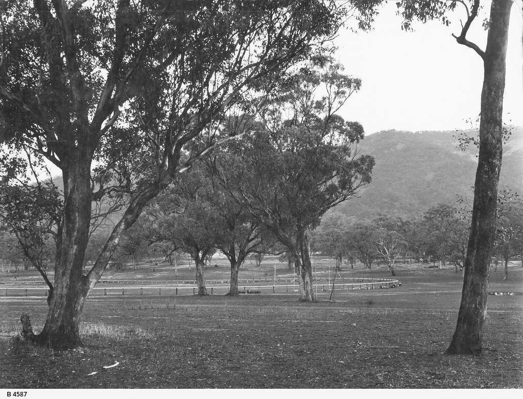 melrose-photograph-state-library-of-south-australia