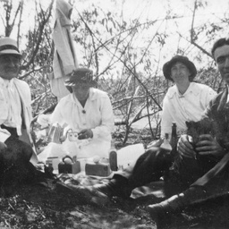Picnic scene
