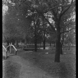 Collection of photographs taken around Adelaide by Theo Bachmann