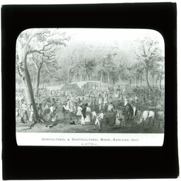 Development of Adelaide 1839-1914: series of lantern slides.