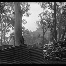 Collection of photographs taken around Adelaide by Theo Bachmann