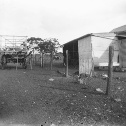 Country scene