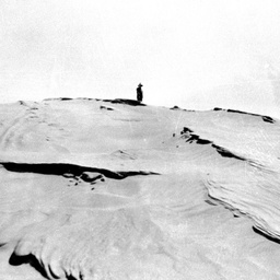 View from big sand hill near Long Point, Younghusband Peninsula