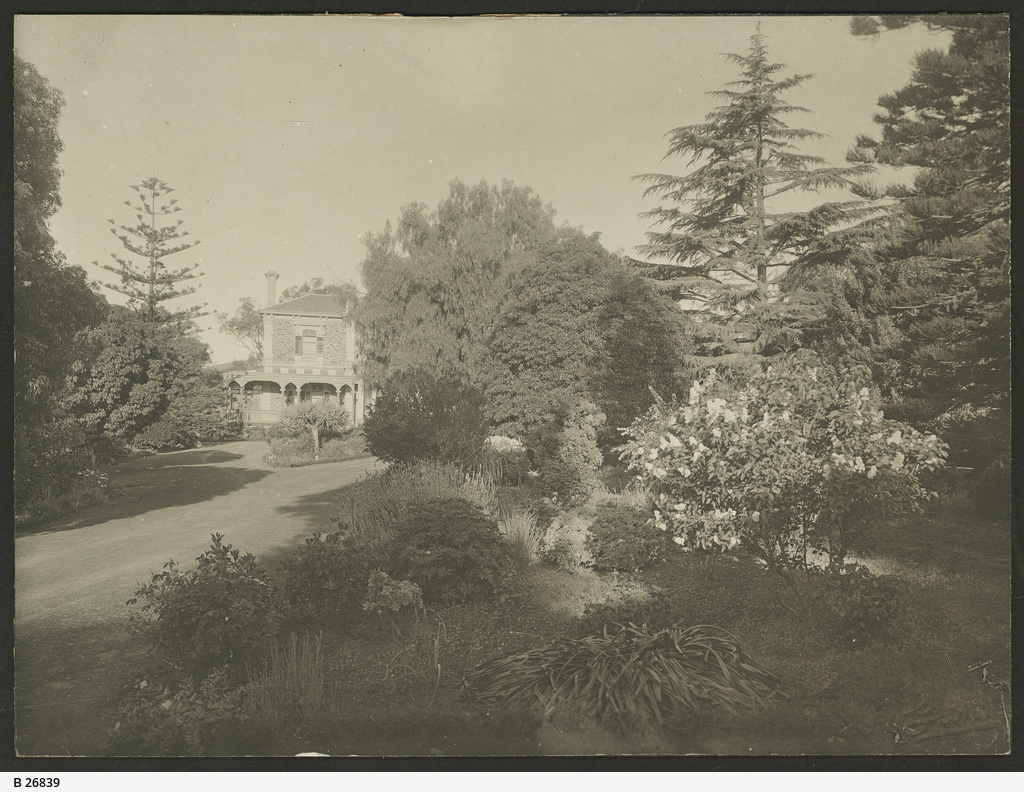 Glen Osmond • Photograph • State Library of South Australia