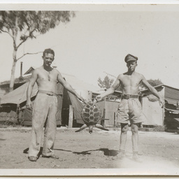 Colin James Ellis, World War II photograph album, Darwin.