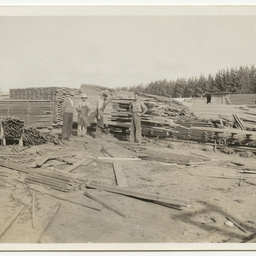 Views of pine plantation and saw mill