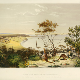 Scene on the Coorung near Lake Albert
