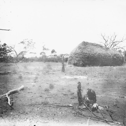 Rural scene