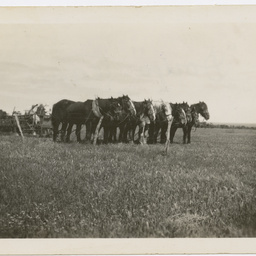 Farm scenes with Doug McPherson
