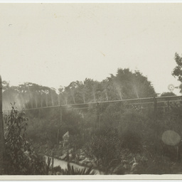 Overhead sprinklers watering the Maluka Beds in Wittunga farm garden