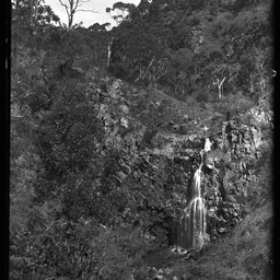Collection of photographs taken around Adelaide by Theo Bachmann