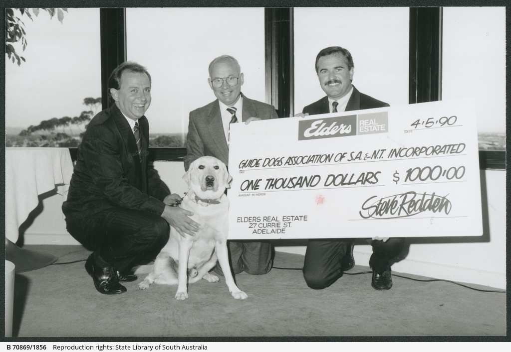 guide dogs catalogue