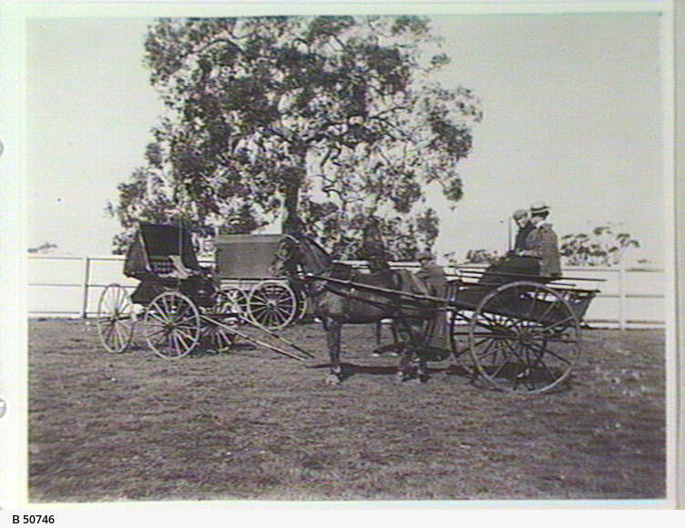 Penola Showground, Penola • Photograph • State Library of South Australia