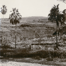 Finke Gorge