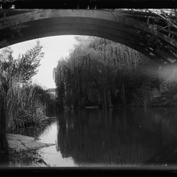 Collection of photographs taken around Adelaide by Theo Bachmann