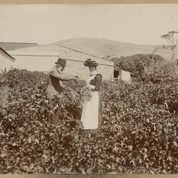 Robert Davenport family album