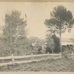 Robert Davenport family album