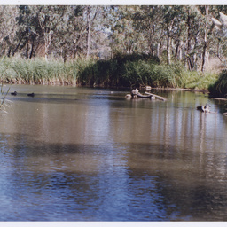 Photographs of outdoor and nature sites south of Adelaide