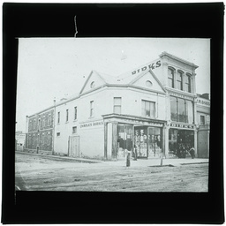 Development of Adelaide 1839-1914: series of lantern slides.