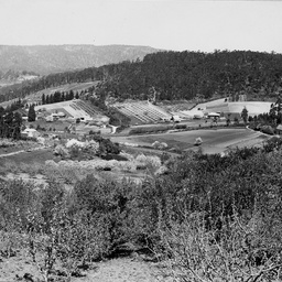 Cherryville
