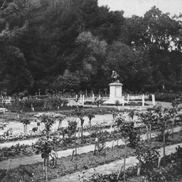 Views of SA, WA, Vic & NSW : Adelaide Botanic Gardens