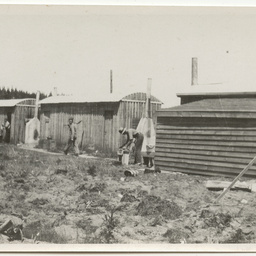 Views of pine plantation and saw mill