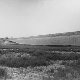 Happy Valley Reservoir : Main embankment