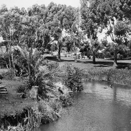 North Para River at Tanunda