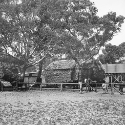 Farm near Smithfield