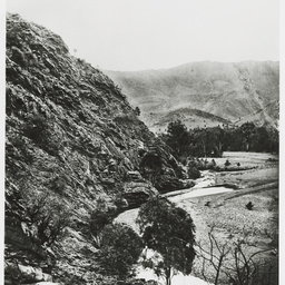 Selected photos taken by Henry Hammond Tilbrook