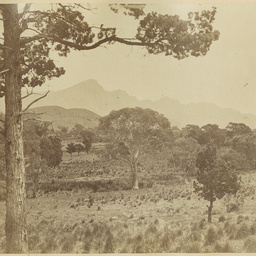 Album containing views of the Flinders Ranges and adjacent country areas