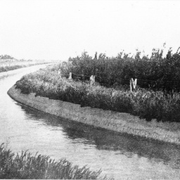 Main irrigation channel at Berri