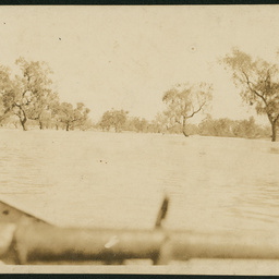Coopers Creek in flood
