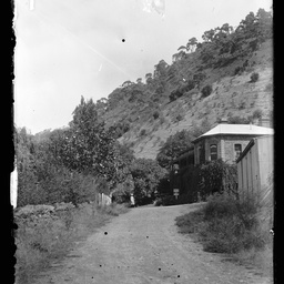 Collection of photographs taken around Adelaide by Theo Bachmann