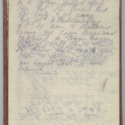Diary of Trooper Miles Fletcher Swan