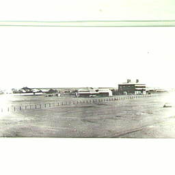 Marree