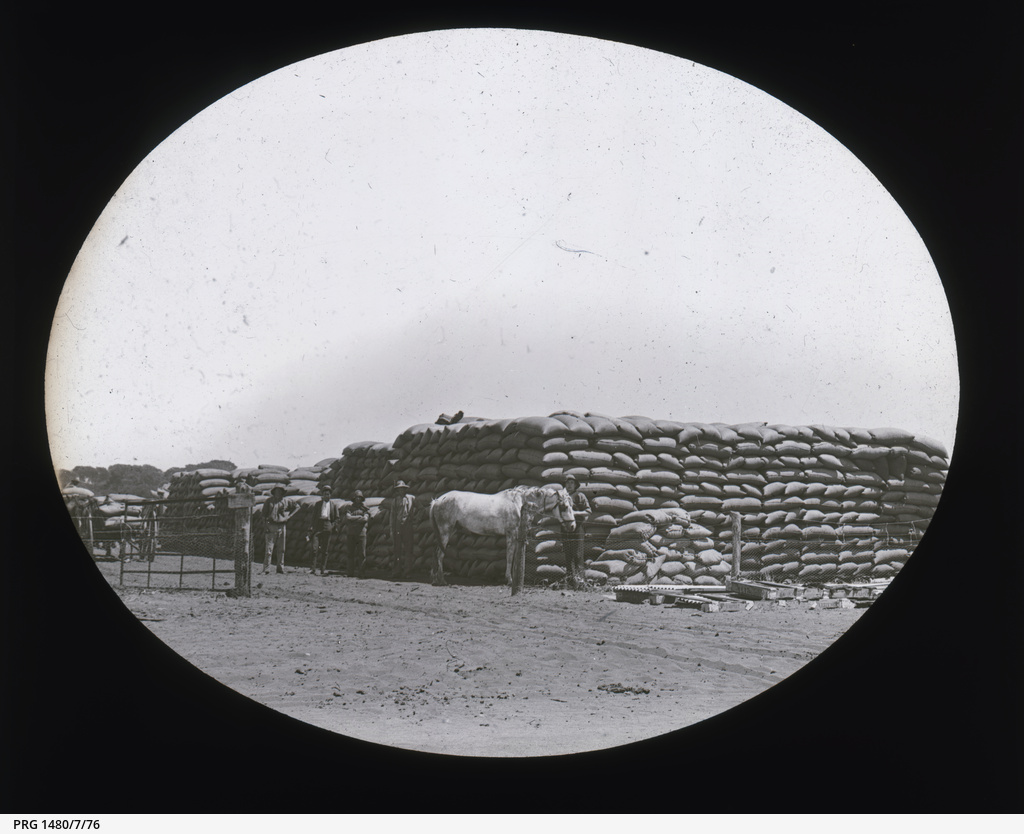 Cowell and Franklin Harbour, Eyre Peninsula • Photograph • State Library of South Australia