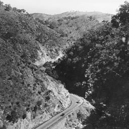 Torrens Gorge Road