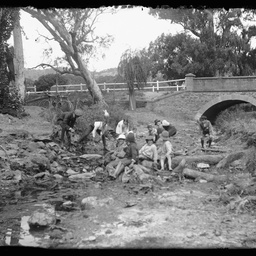Collection of photographs taken around Adelaide by Theo Bachmann