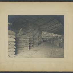 Wheat shed