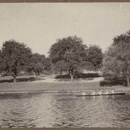 Rowing four on the Torrens Lake.