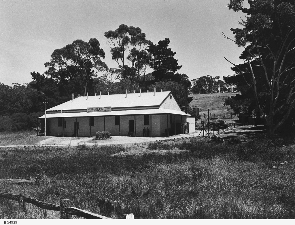 Premises of AMSCOL cheese factory • Photograph • State Library of South