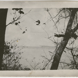Colin James Ellis, World War II photograph album, Darwin.