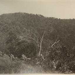 Adelaide and the Adelaide Hills: album of views