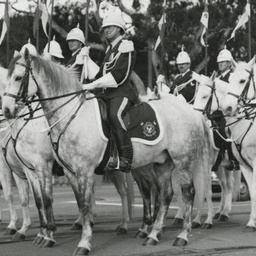 Mounted police on their greys