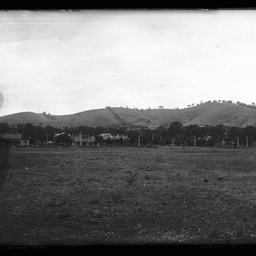 Collection of photographs taken around Adelaide by Theo Bachmann