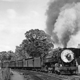 Railway transport: 500 class