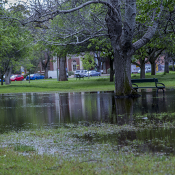 Flood damage at Wita Wirra Park