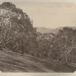 South Australian views: album